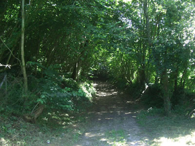 Balade en nature à Fourneville
